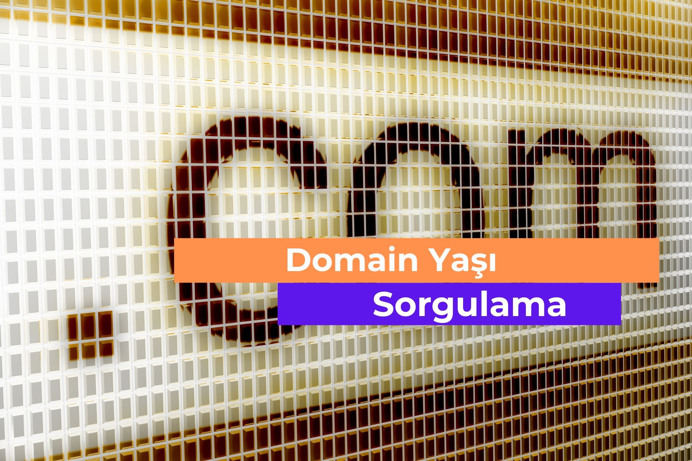 domain-yasi-sorgulama